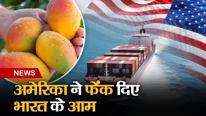 * अमेरिका में भारतीय आम भेजने से पहले फलों को irradiation tr