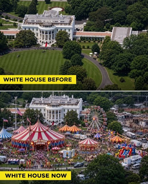 UFC #WhiteHouse events..