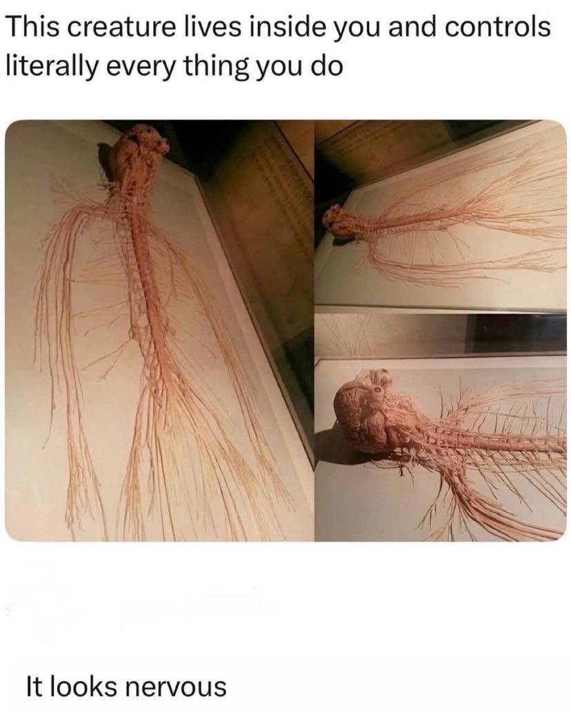Ownmates Post