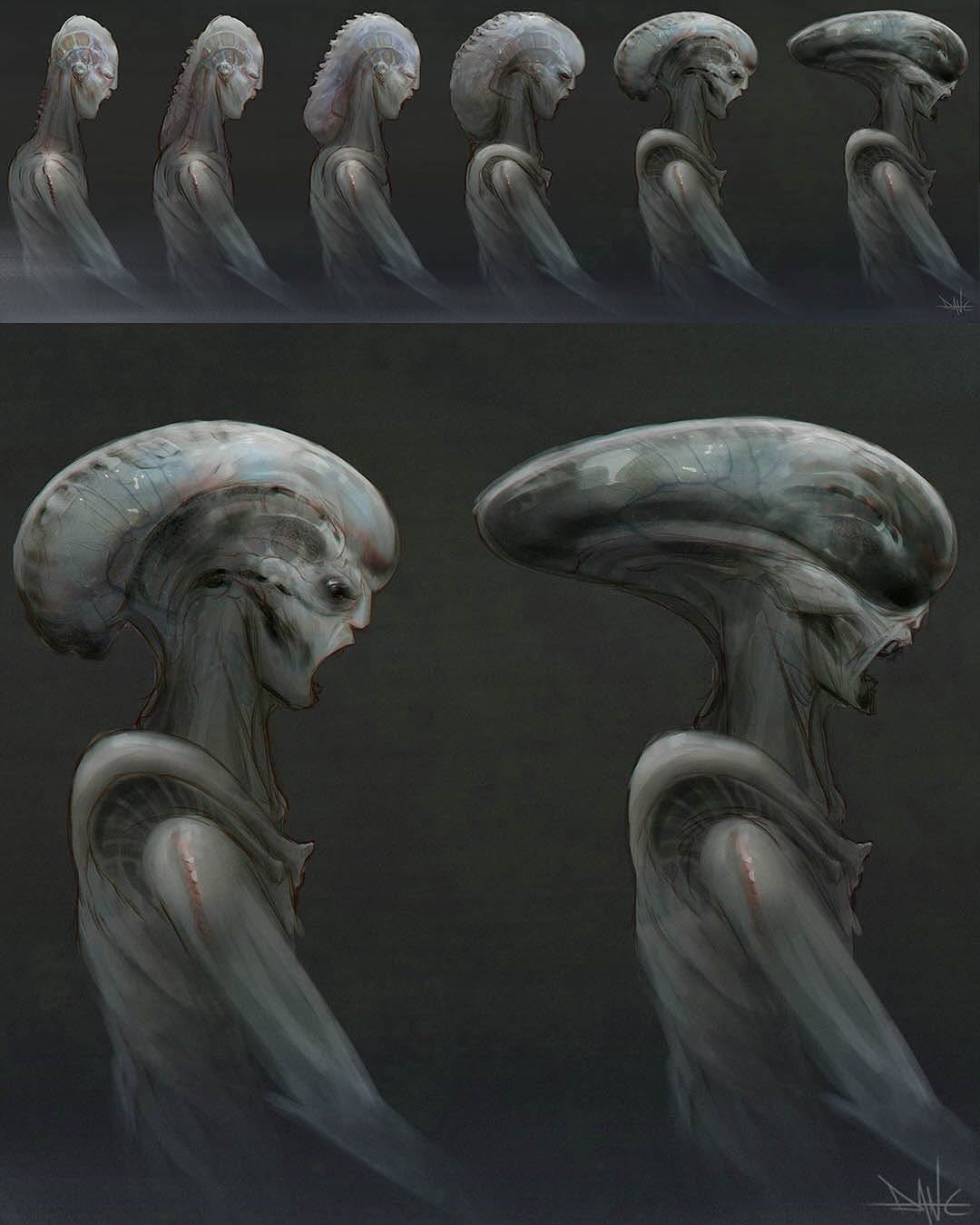 Aliens evolution 👽