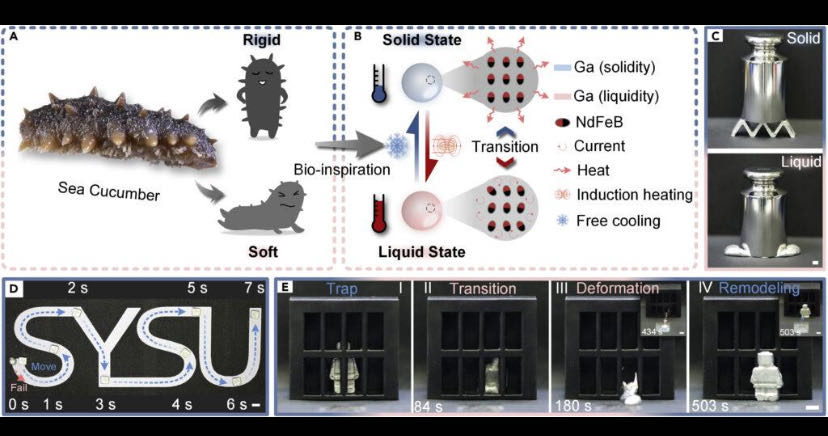 Liquid Metal Robots

A liquid metal robot is a robot made en