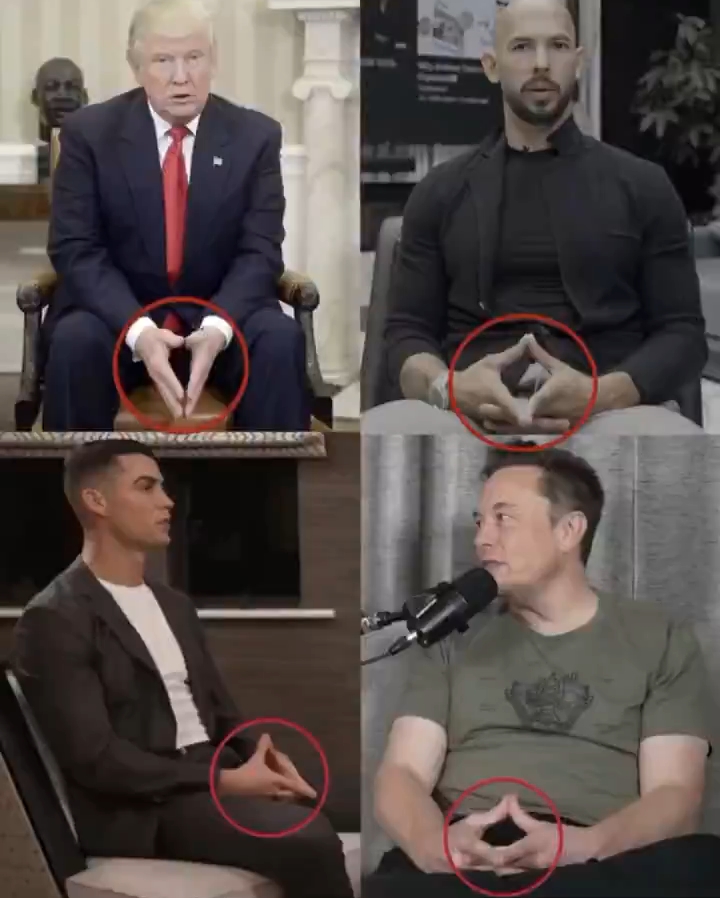 Hold the hands or show the hands 😳