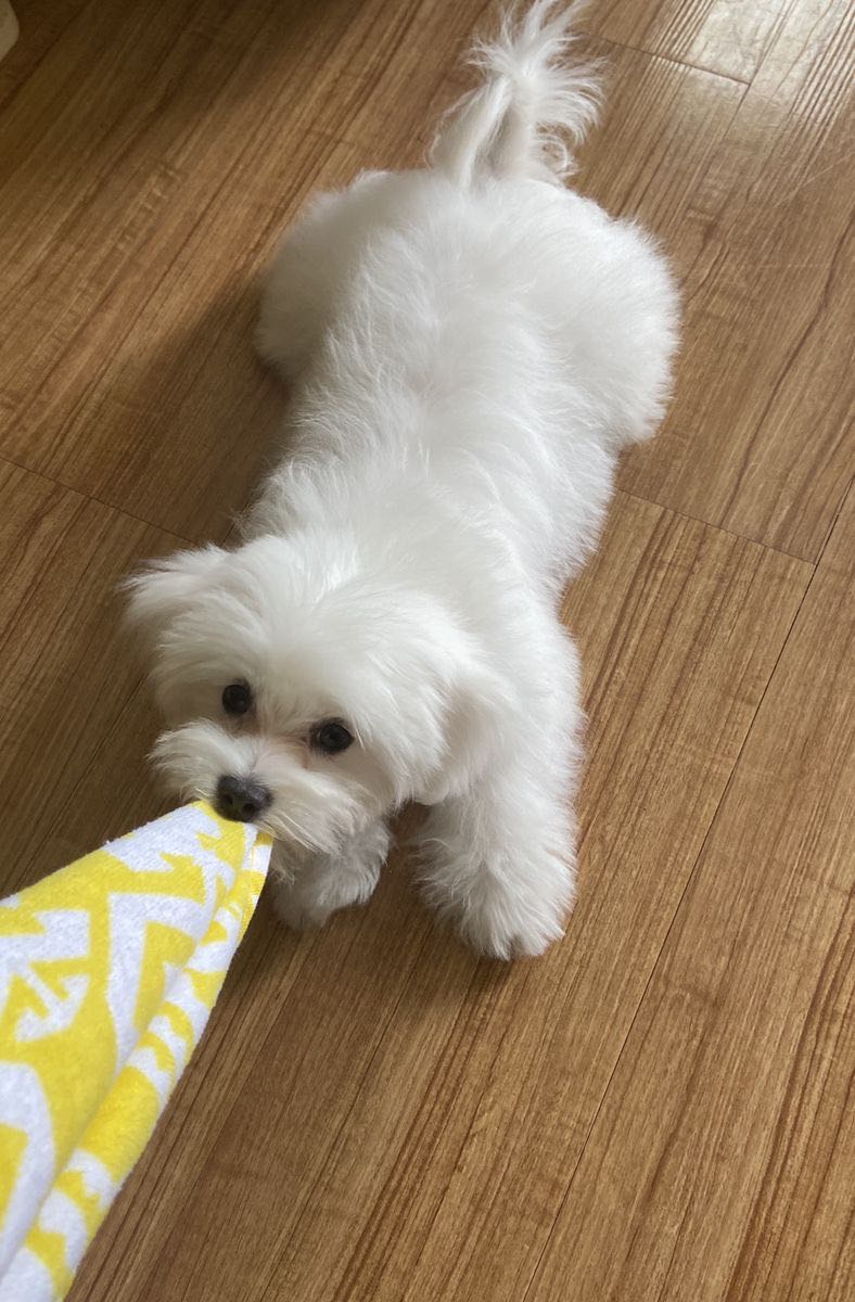 Ownmates Post