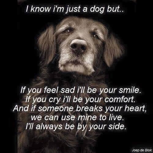 Ownmates Post
