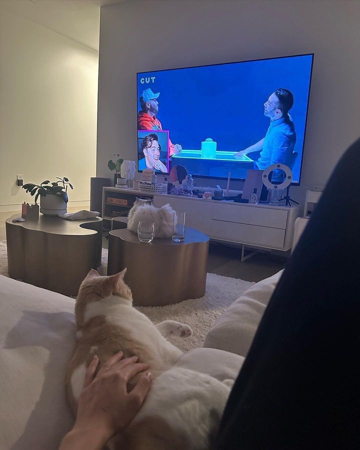 Ownmates Post