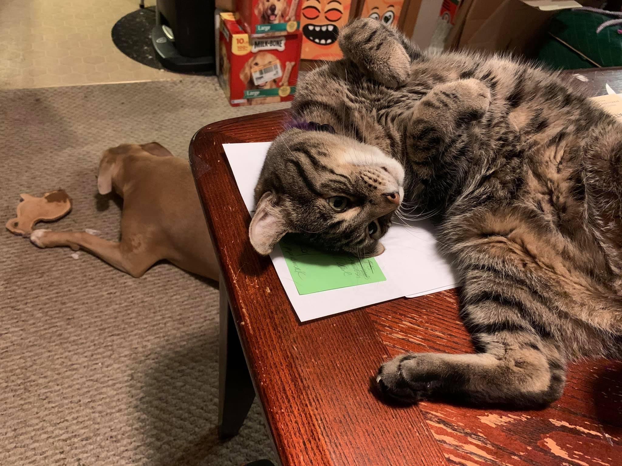 Ownmates Post
